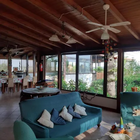 Captivating Holiday In With Swimming Pool Tatil Evi
